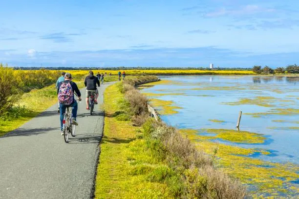 location vélo île de Ré marais balade vacances séjour déplacement